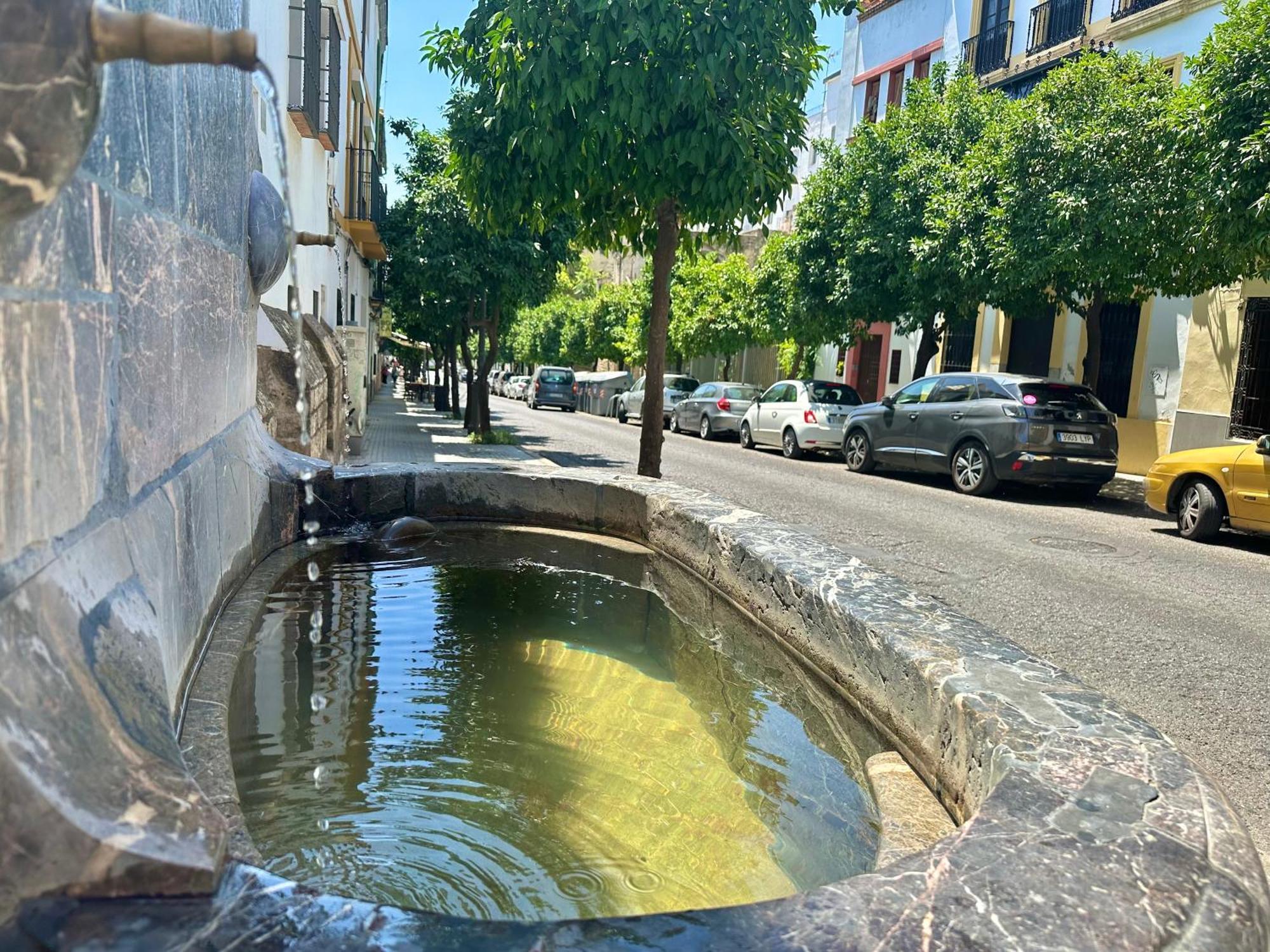 דירות קורדובה San Fernando 27 Atico מראה חיצוני תמונה